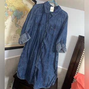 Denim plus dress